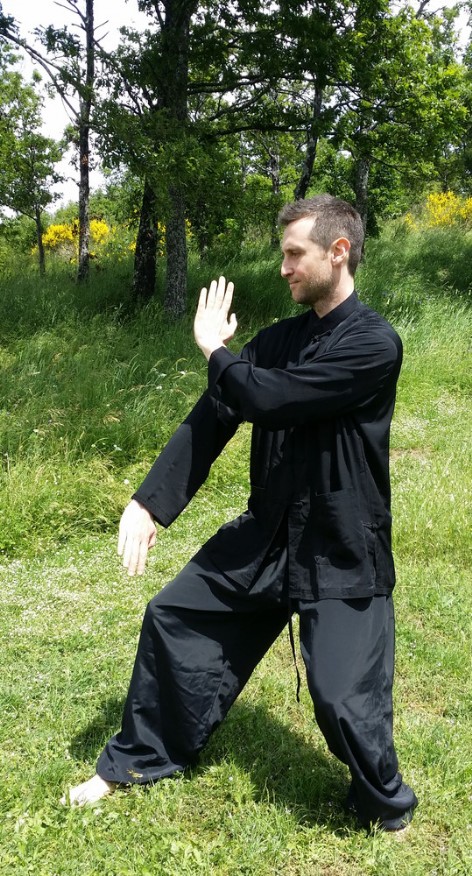 Alessandro Rapparini Istruttore Kung Fu Alessandro Rapparini Istruttore Kung Fu